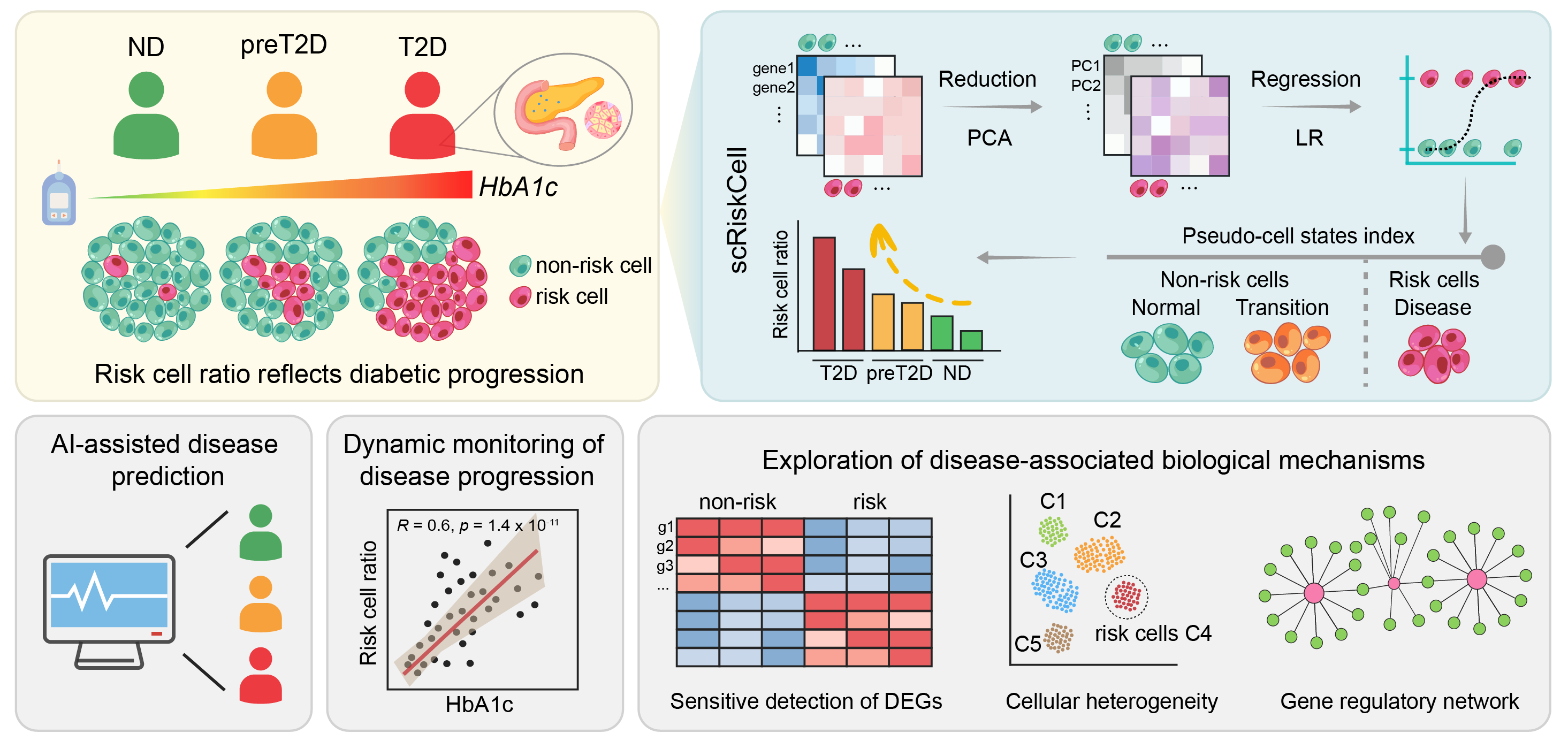 Graphical abstract